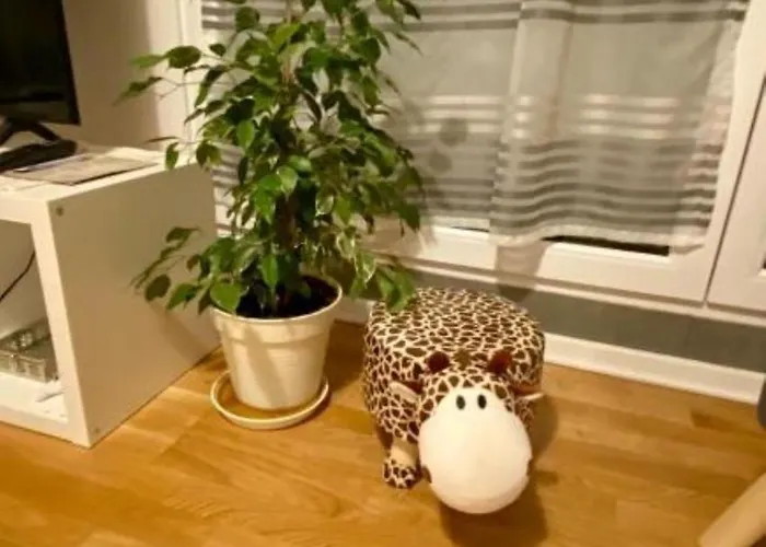 Schoenes Erwachen Im Frankfurter Penthouse ホームステイ フランクフルト